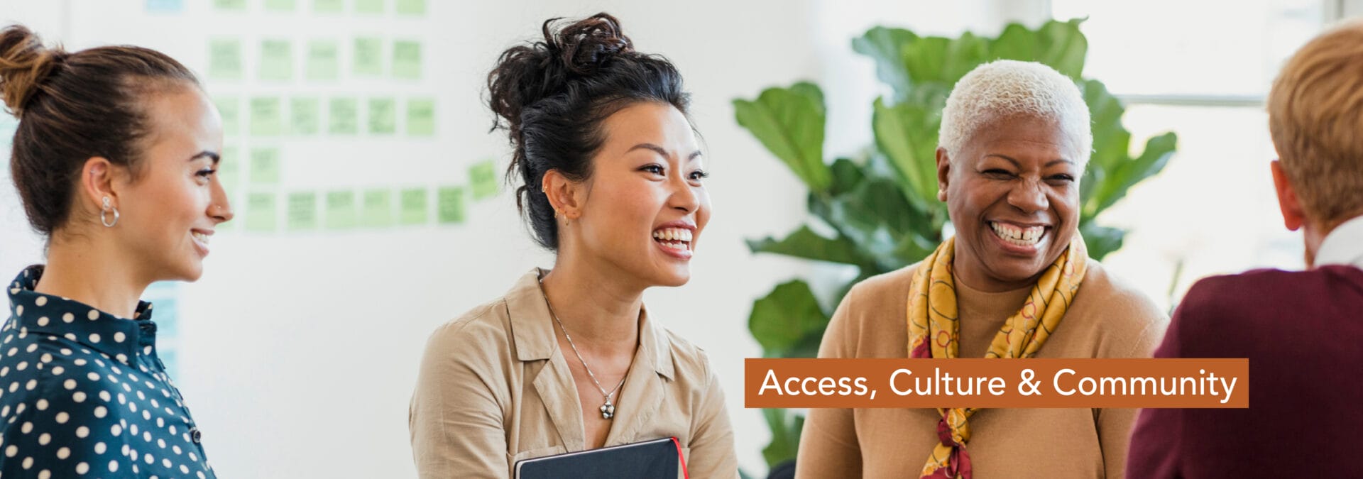 Access, Culture & Community - A closeup shot of a diverse group of women of various ages engaged in conversation in an office setting
